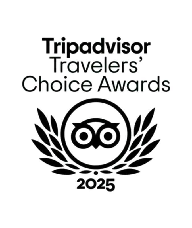 Fuimos galardonados con el certificado de excelencia de Trip Advisor 2019